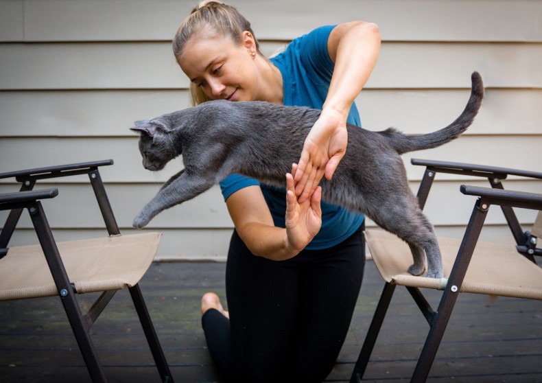 Cat Cues: Unlocking the Secrets to Training Your Feline Friend